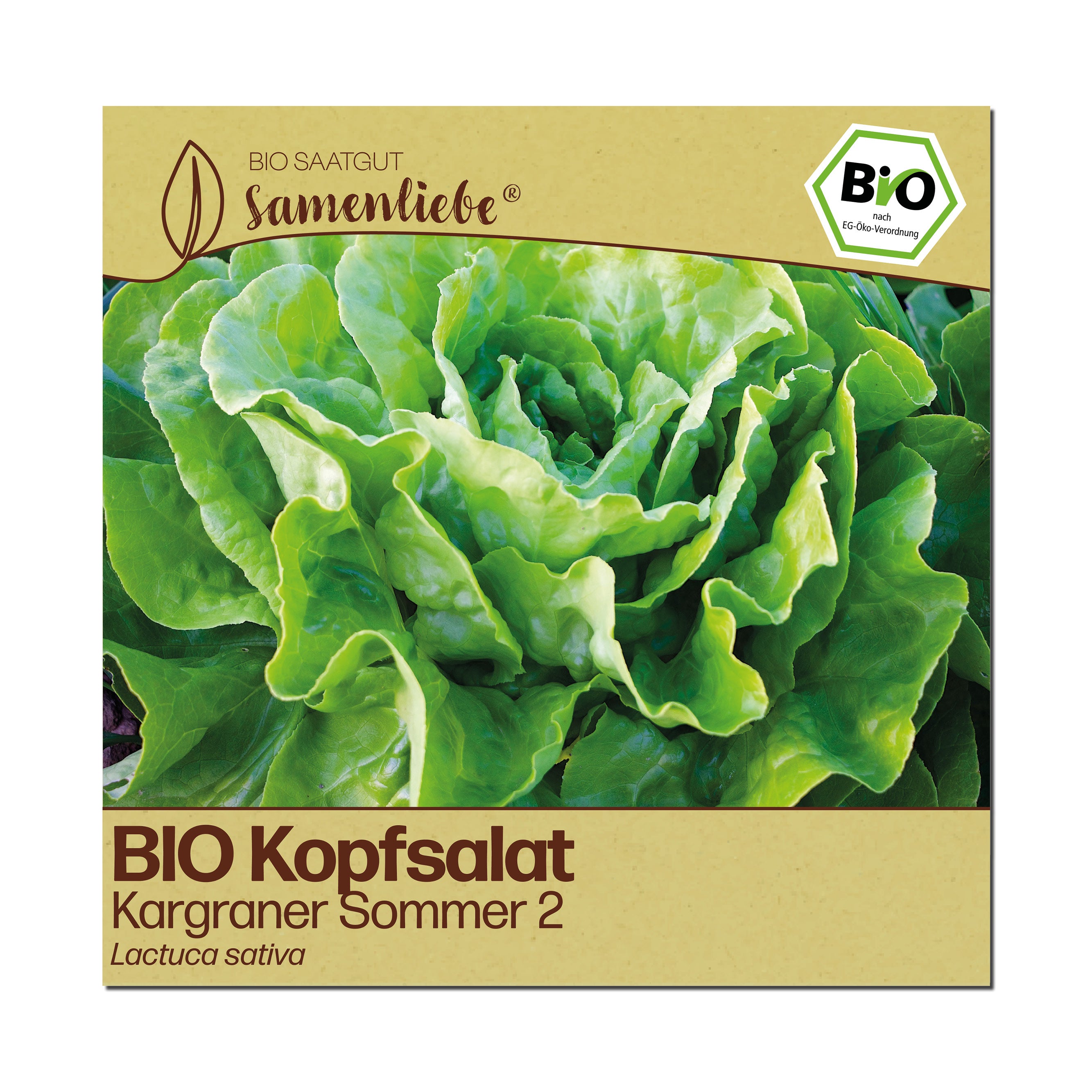 BIO Salat "Kargraner Sommer 2"