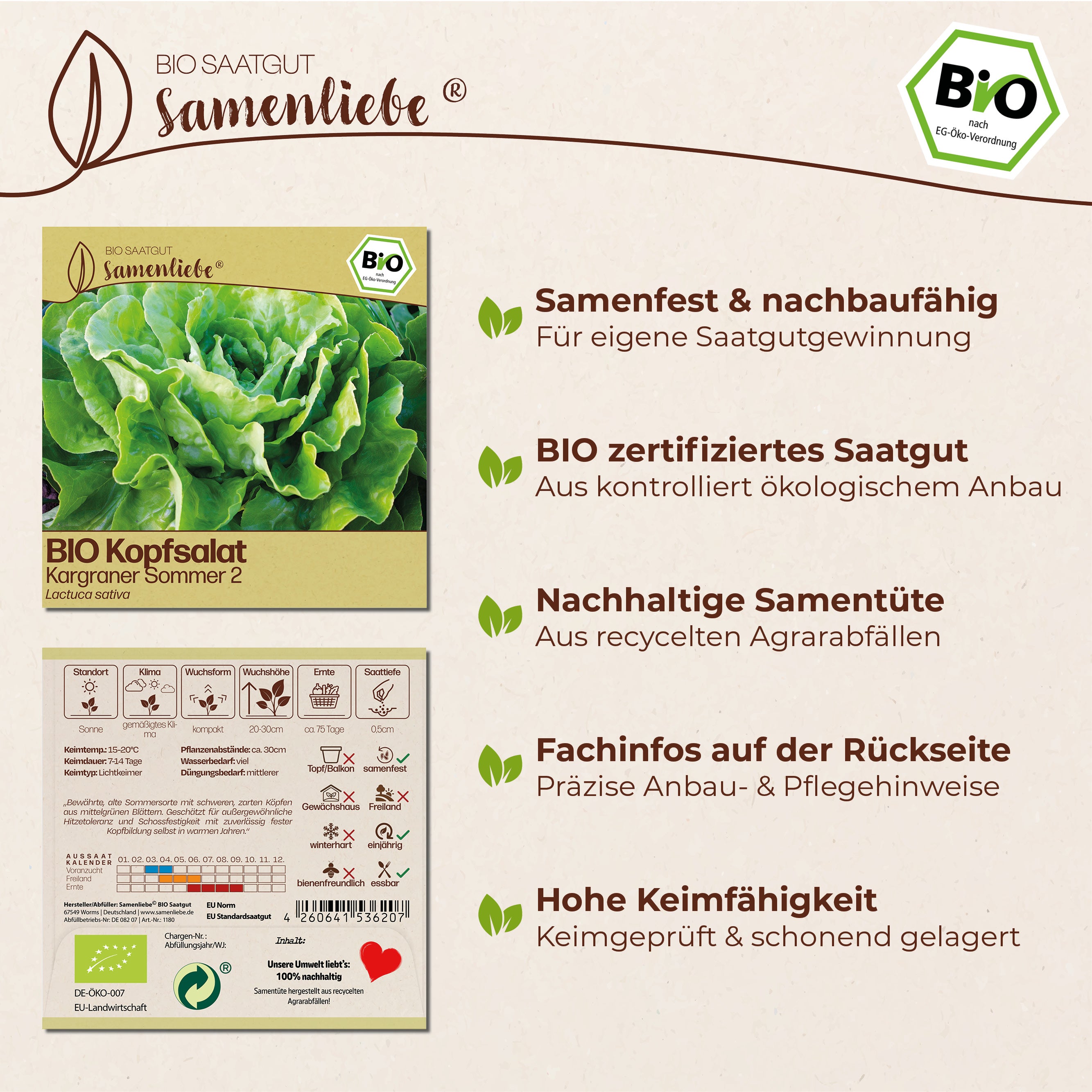 BIO Salat "Kargraner Sommer 2"
