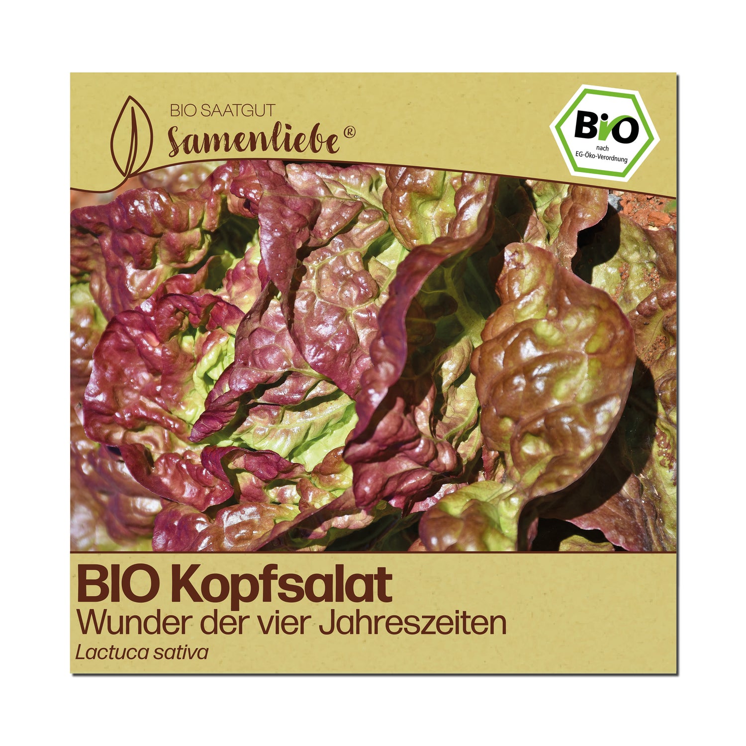 BIO Salat "Wunder der vier Jahreszeiten"