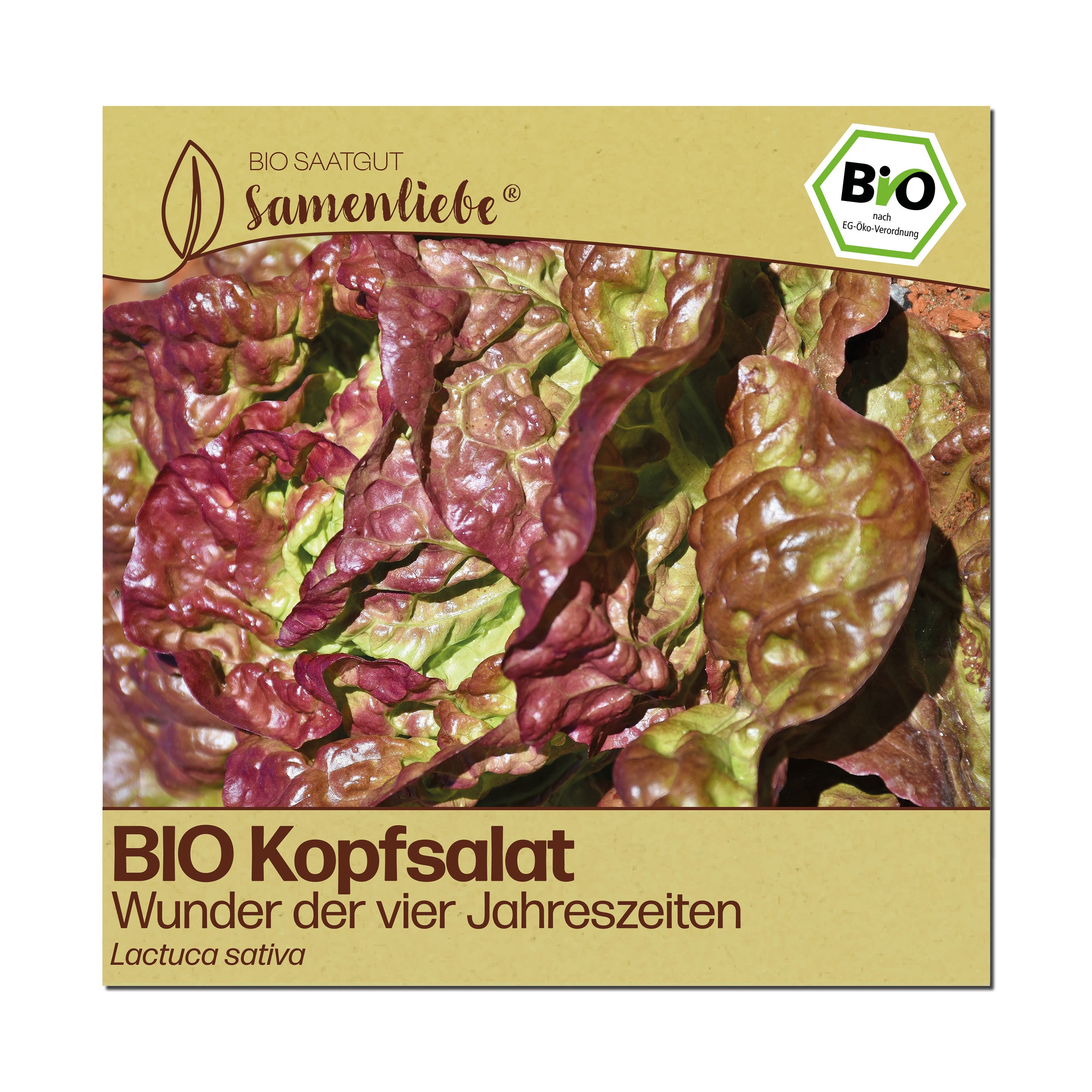 BIO Salat "Wunder der vier Jahreszeiten"
