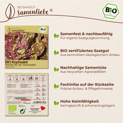 BIO Salat "Wunder der vier Jahreszeiten"