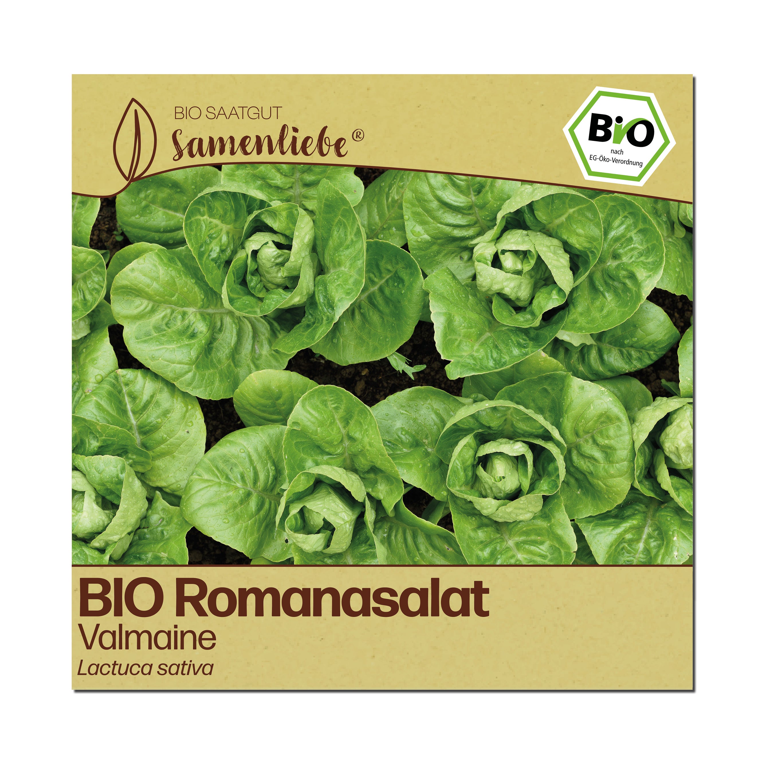 BIO Salat "Valmaine"