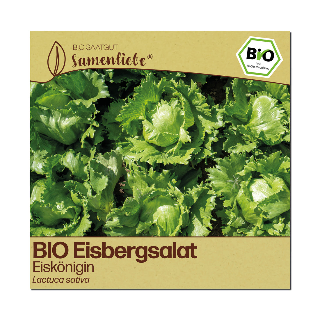 BIO Salat "Eiskönigin"