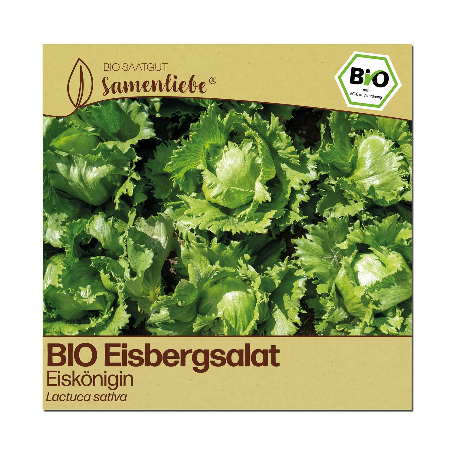 BIO Salat "Eiskönigin"