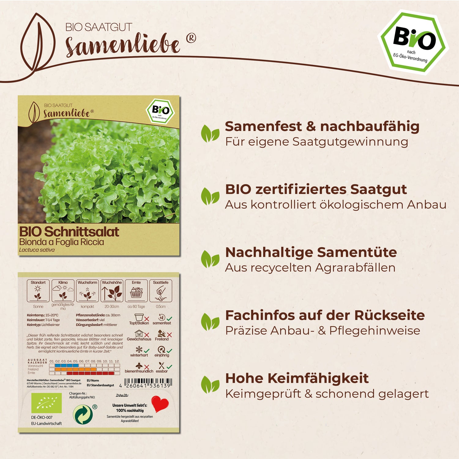 BIO Salat "Bionda a Foglia Riccia"