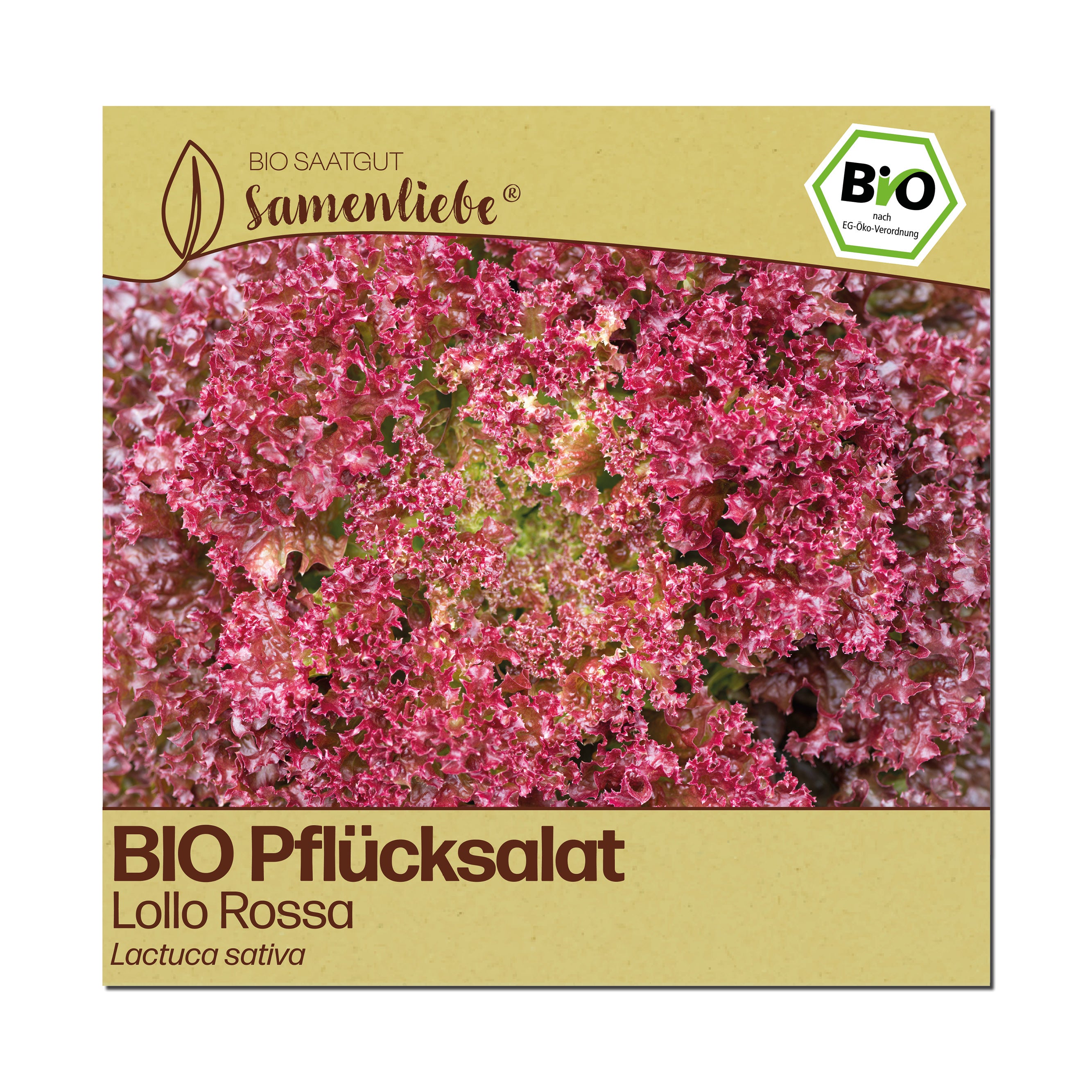 BIO Salat "Lollo Rossa"