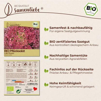 BIO Salat "Lollo Rossa"