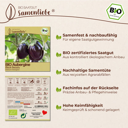 BIO Aubergine "Black Beauty"
