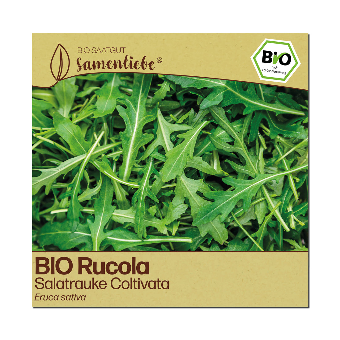 BIO Rucola "Coltivata"