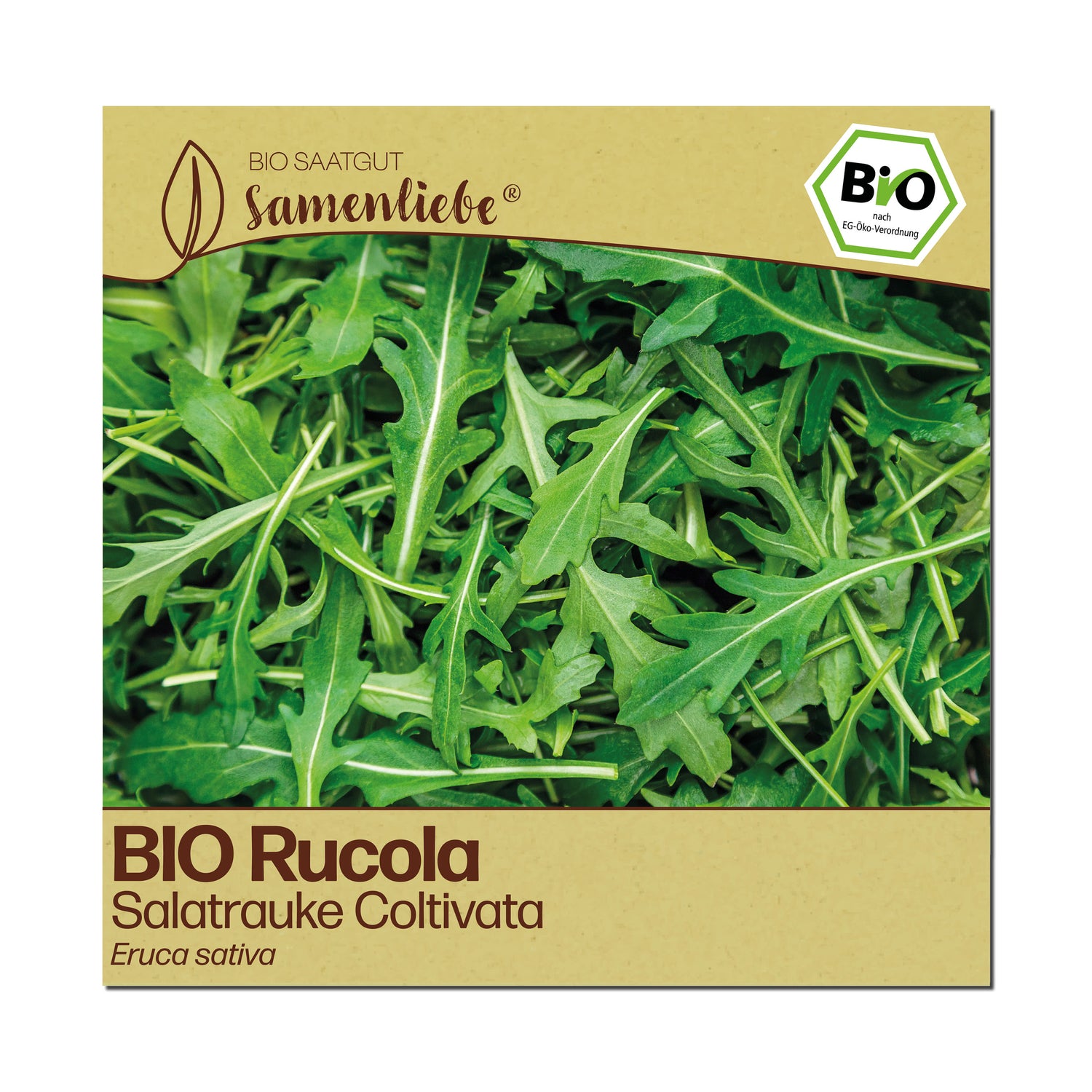 BIO Rucola "Coltivata"