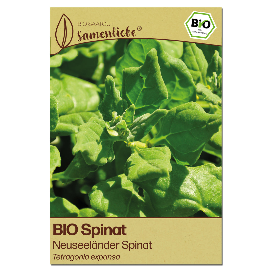 BIO Spinat "Neuseeländer Spinat"