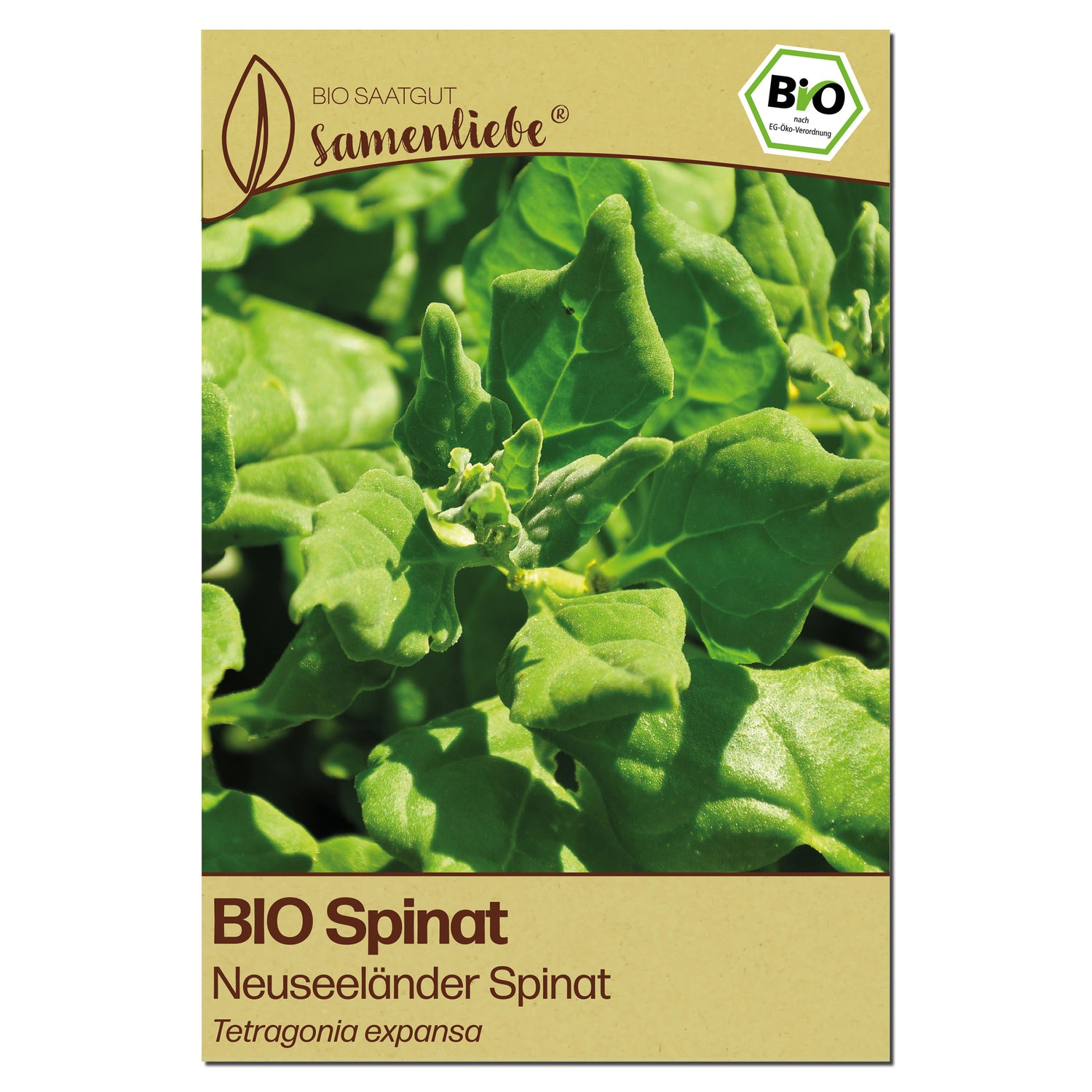 BIO Spinat "Neuseeländer Spinat"