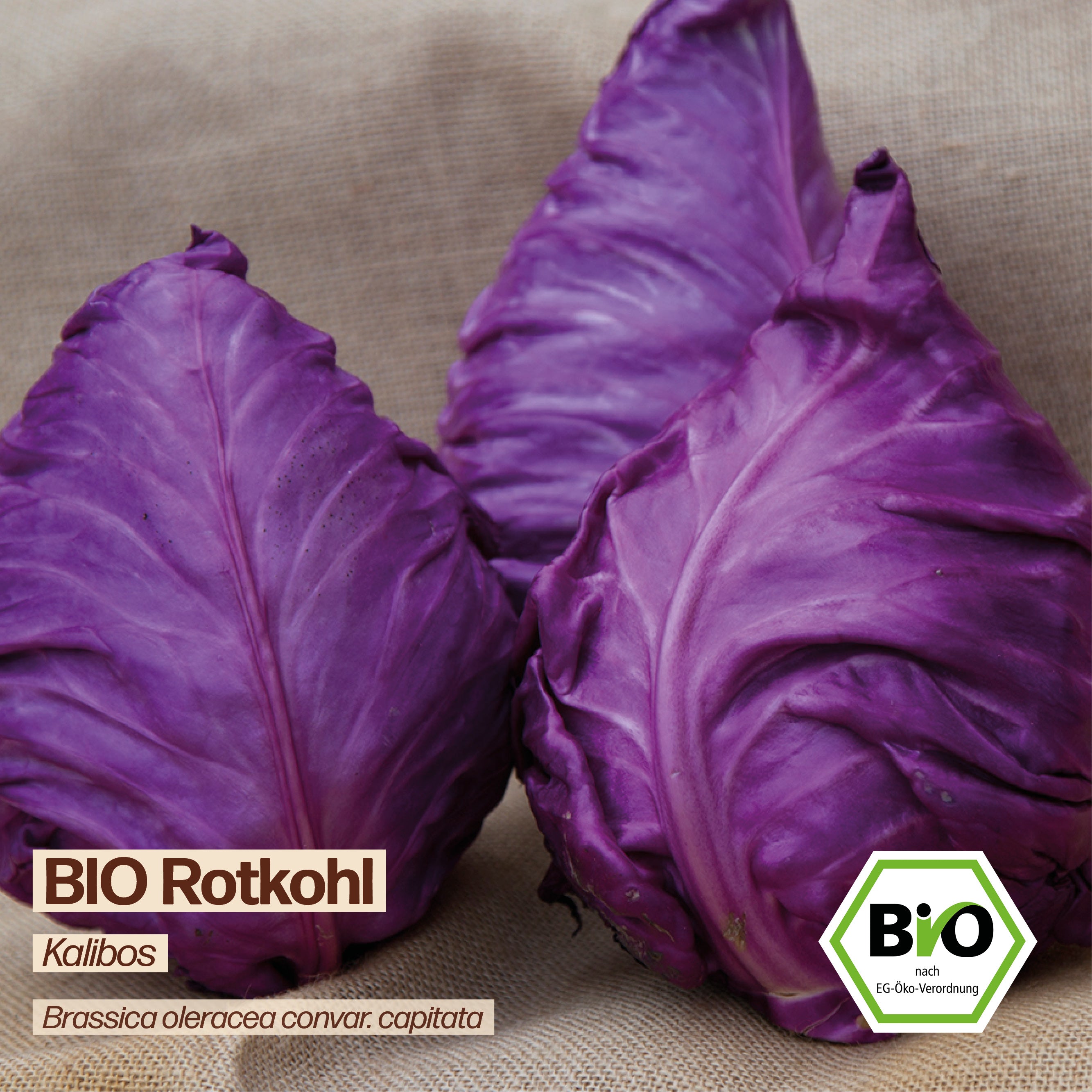 BIO Kohl "Kalibos"