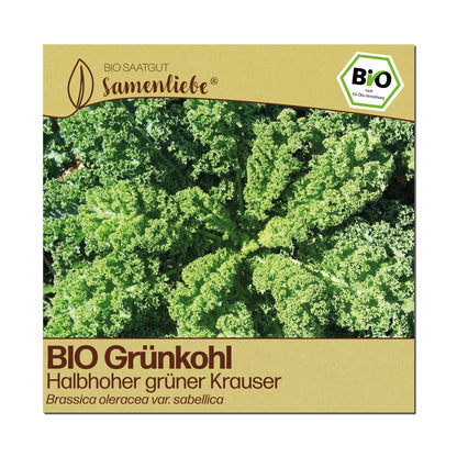 BIO Grünkohl "Halbhoher grüner Krauser"