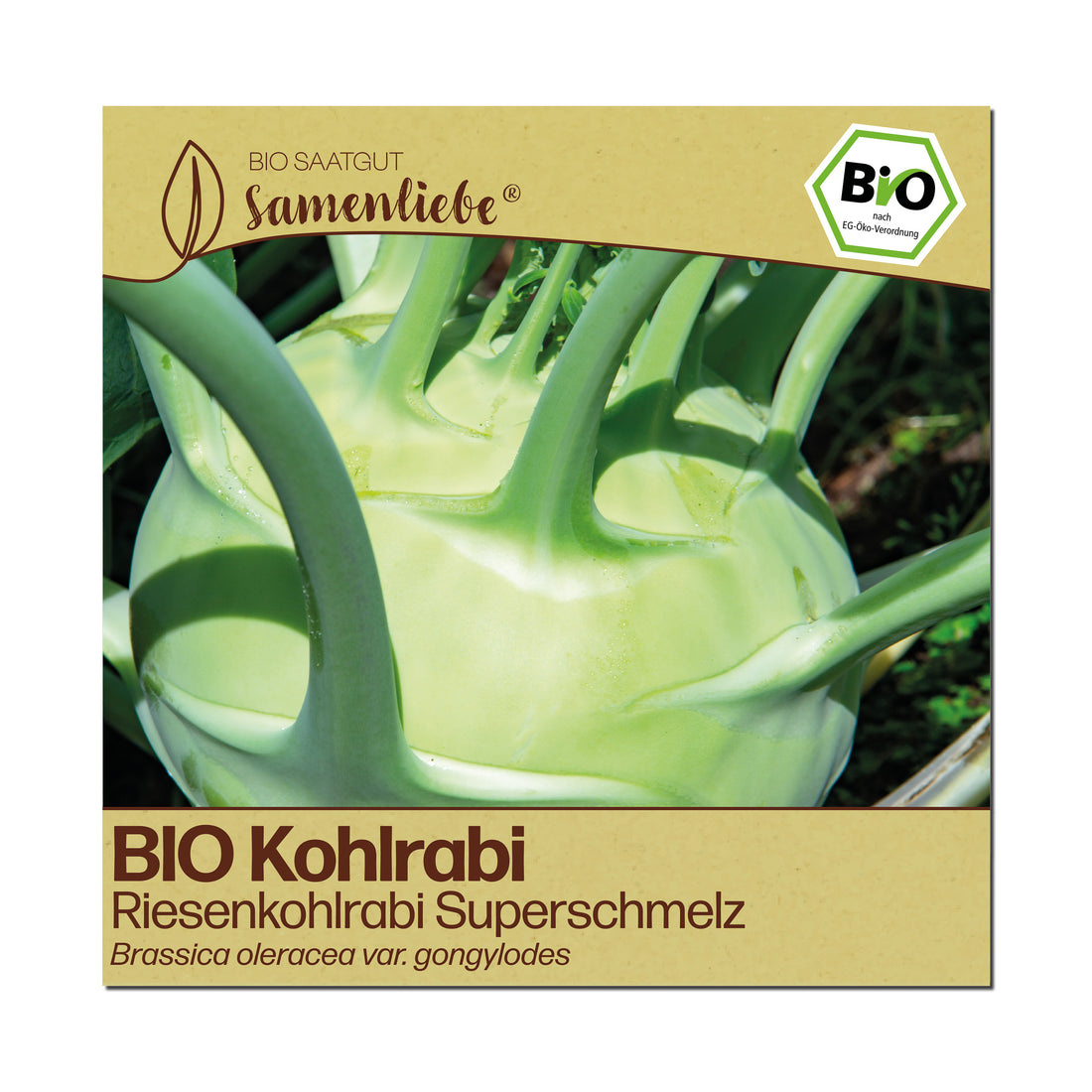 BIO Kohlrabi "Superschmelz"