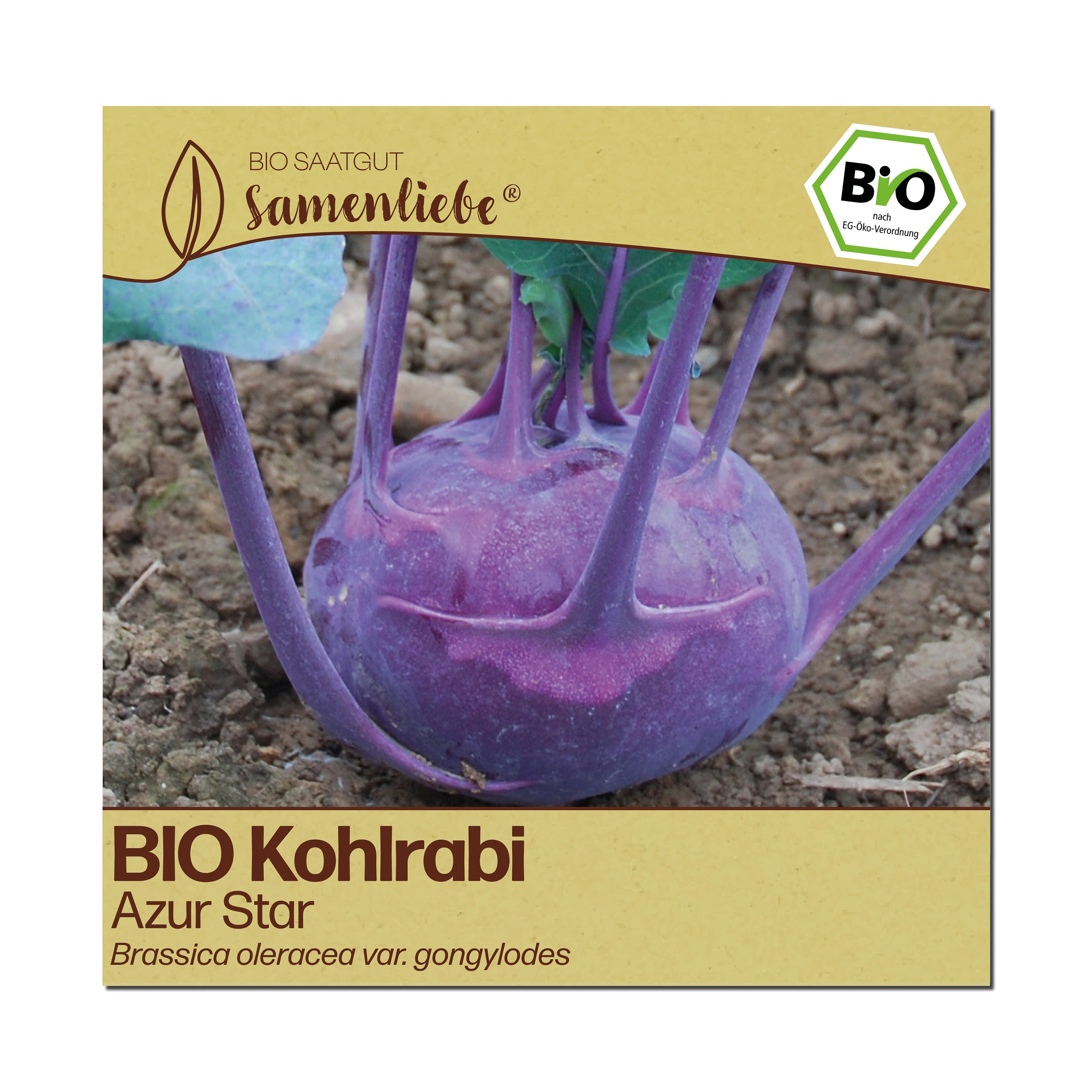 BIO Kohlrabi "Azur Star"