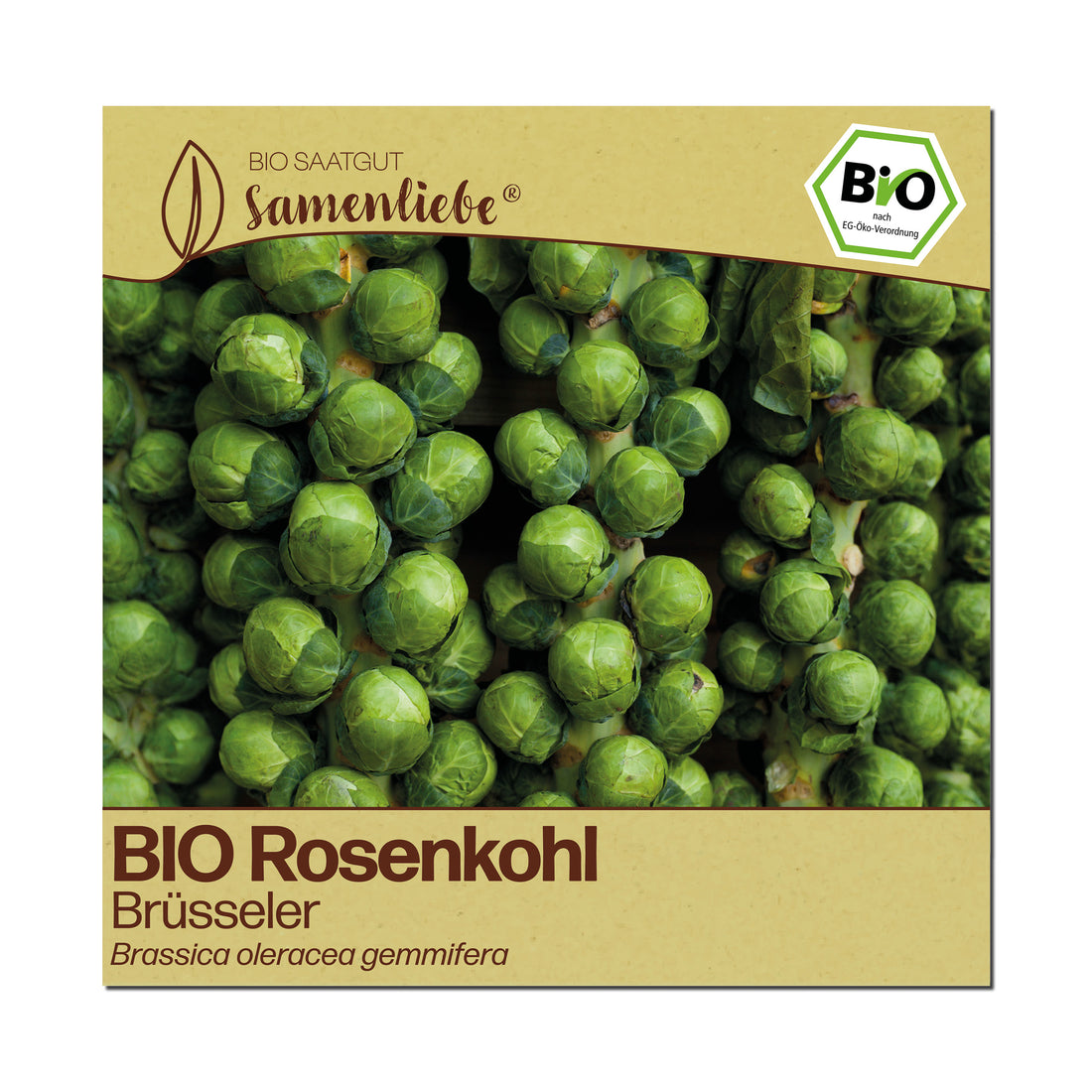 BIO Rosenkohl "Brüsseler Rosenkohl"