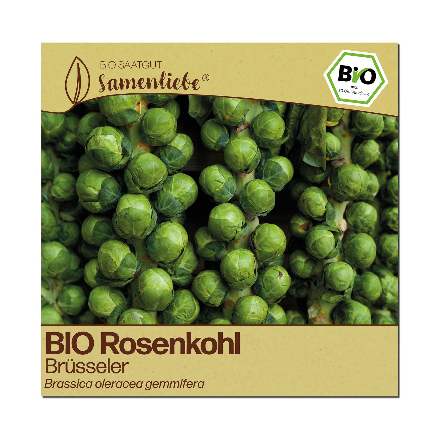 BIO Rosenkohl "Brüsseler Rosenkohl"