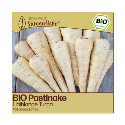 BIO Pastinake "Halblange Turga"