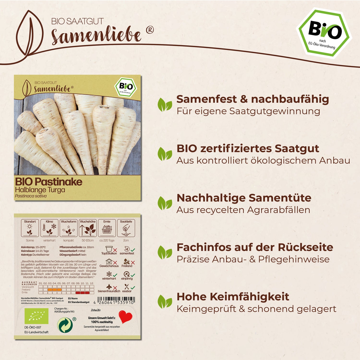 BIO Pastinake "Halblange Turga"
