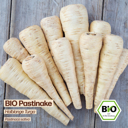 BIO Pastinake "Halblange Turga"