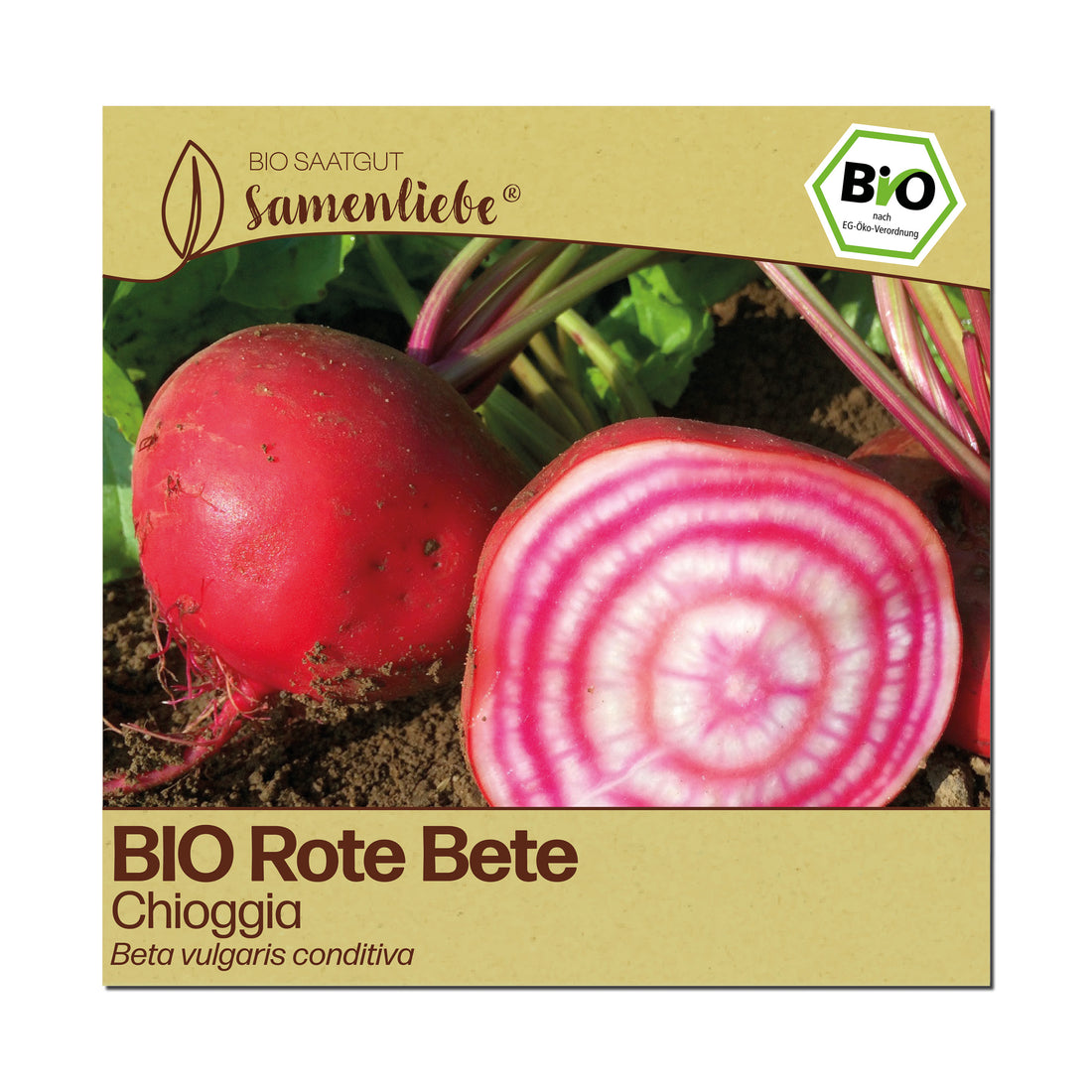 BIO Rote Bete "Chioggia"