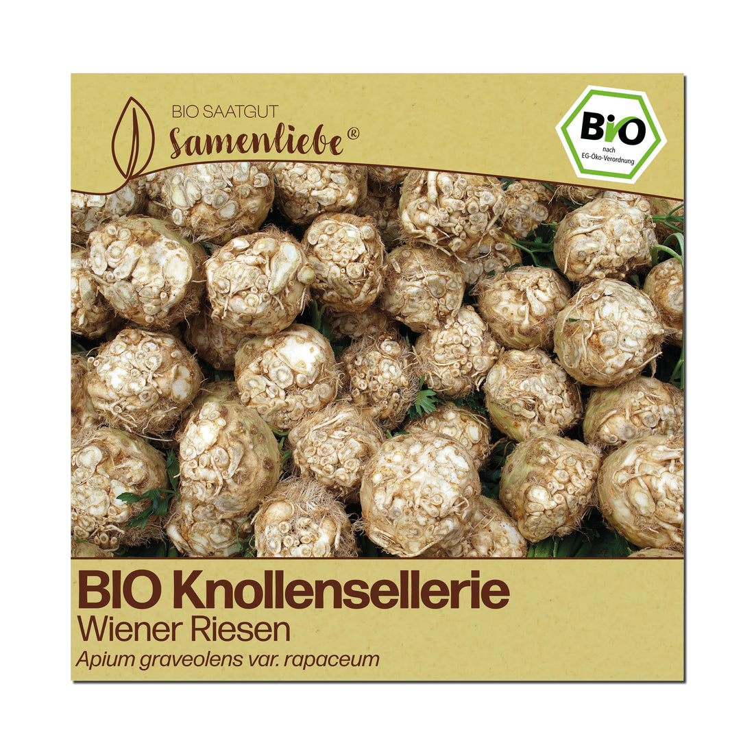 BIO Knollensellerie "Wiener Riesen"
