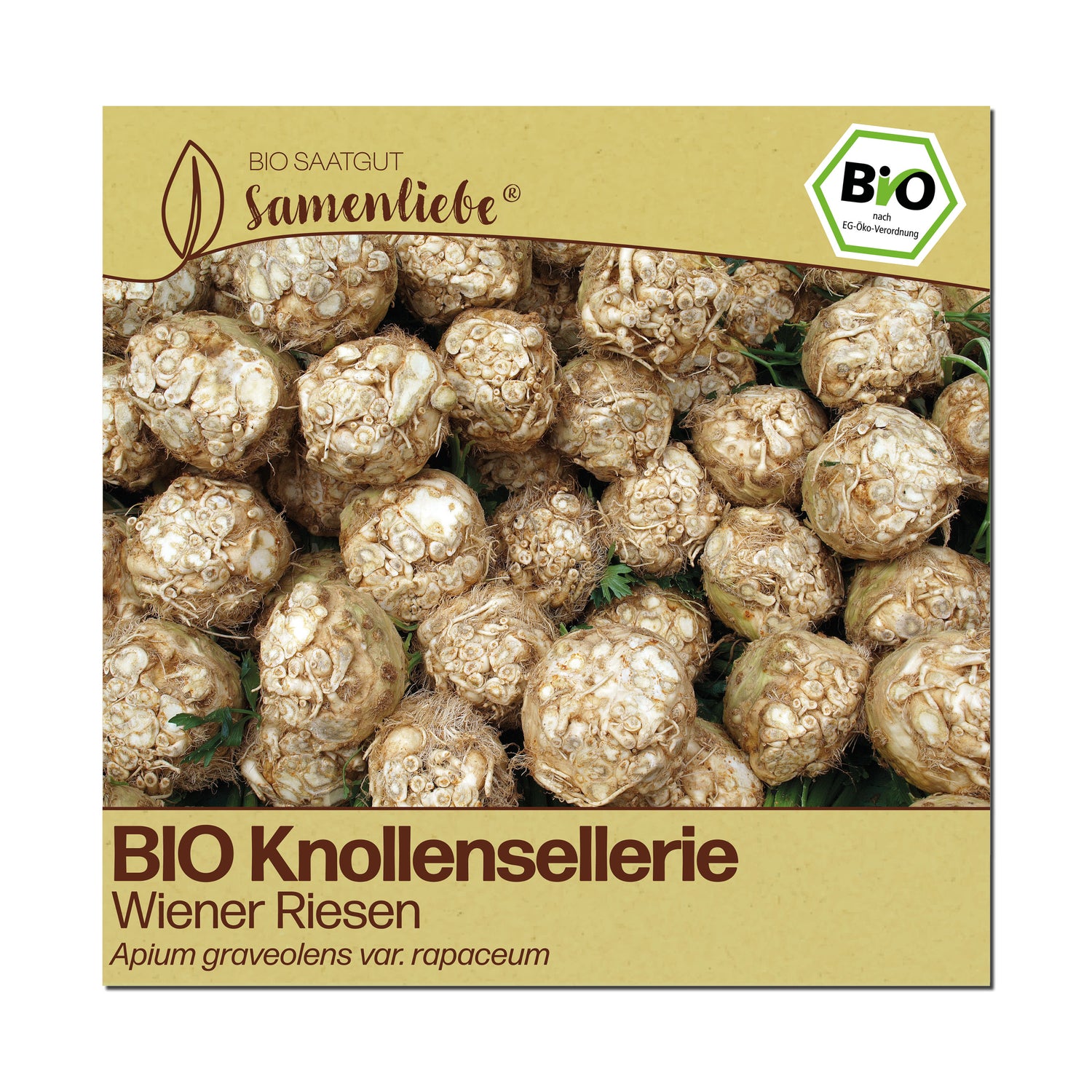 BIO Knollensellerie "Wiener Riesen"