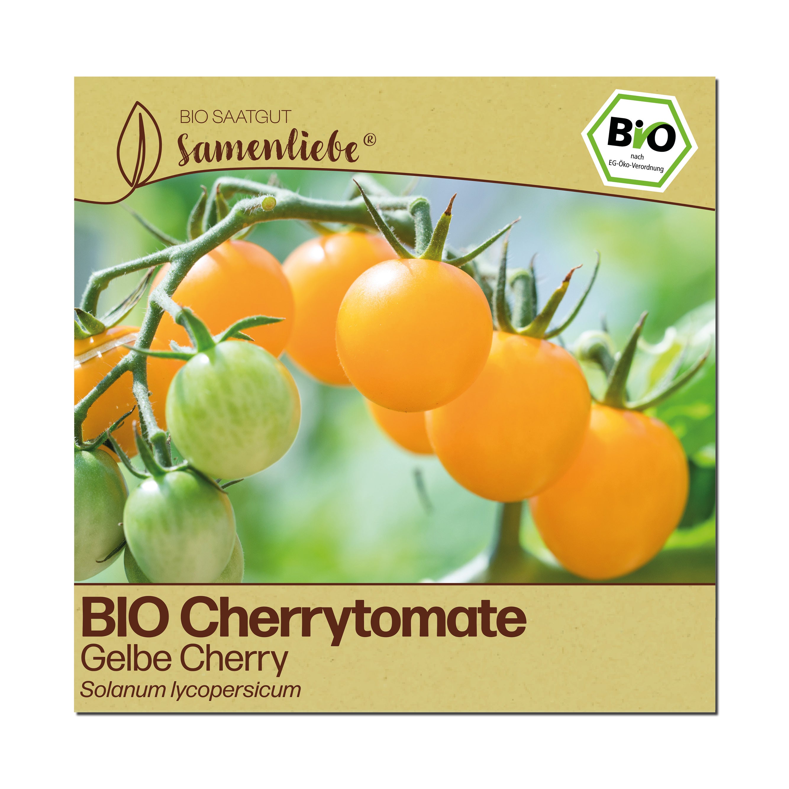 BIO Tomate "Gelbe Cherry"