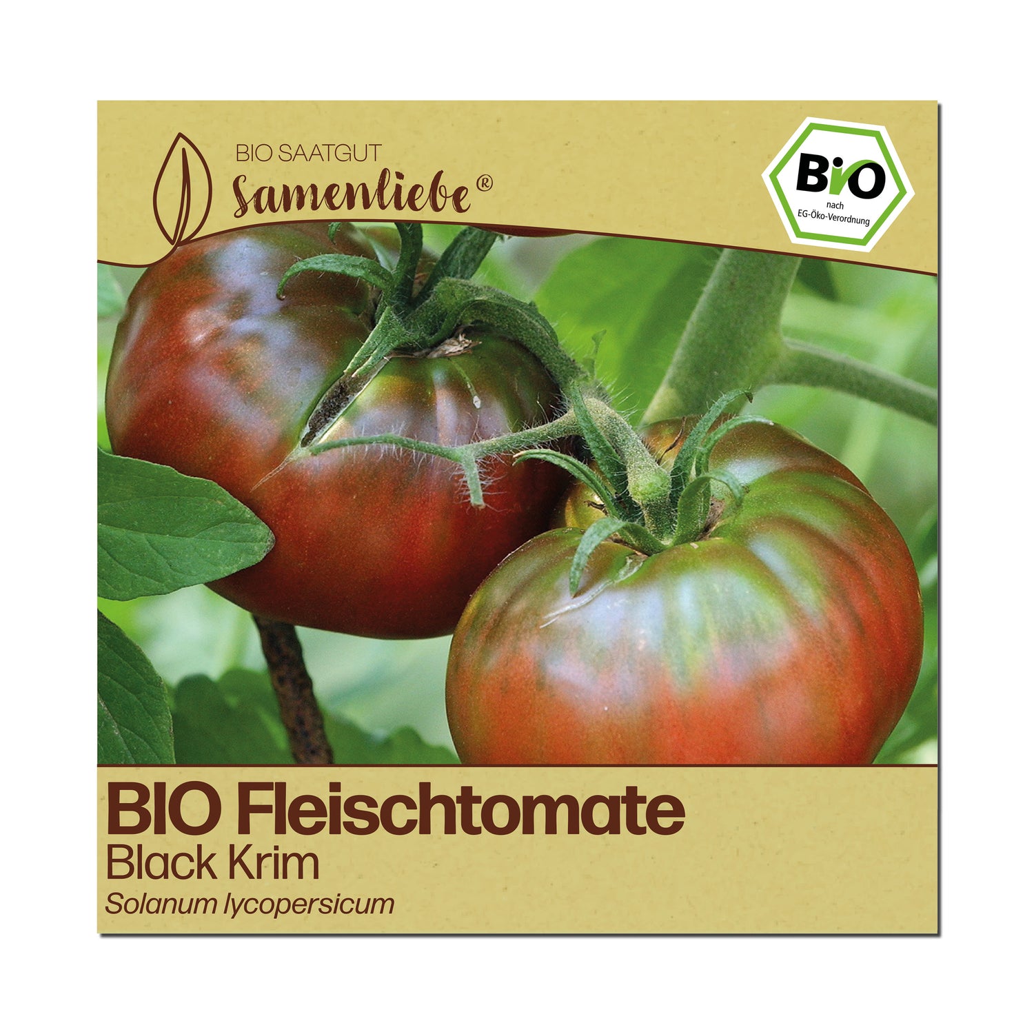 BIO Tomate "Black Krim"