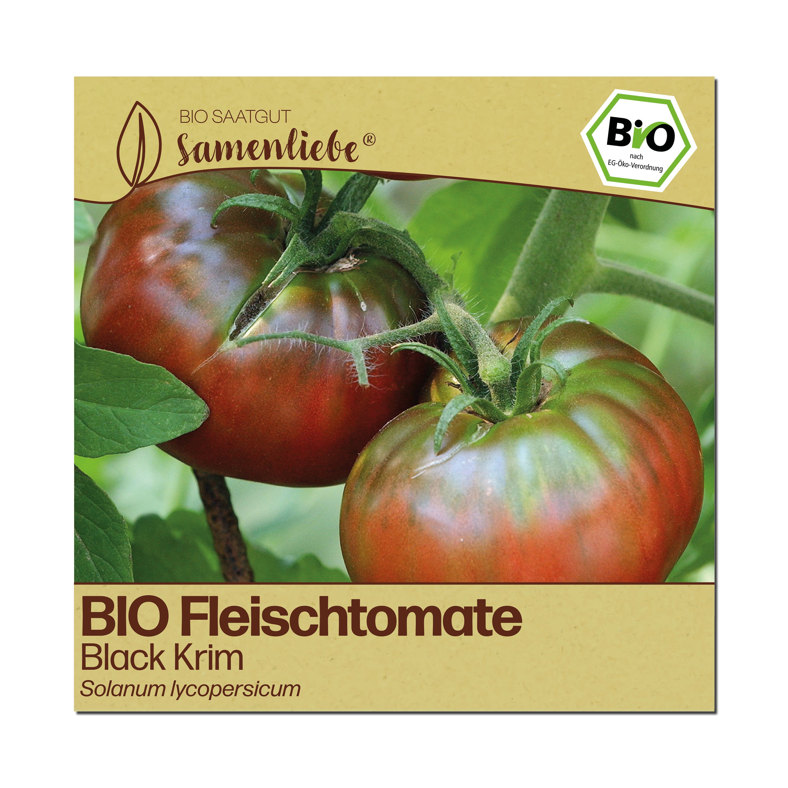 BIO Tomate "Black Krim"