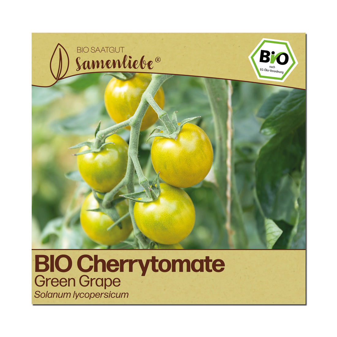 BIO Tomate "Green Grape"
