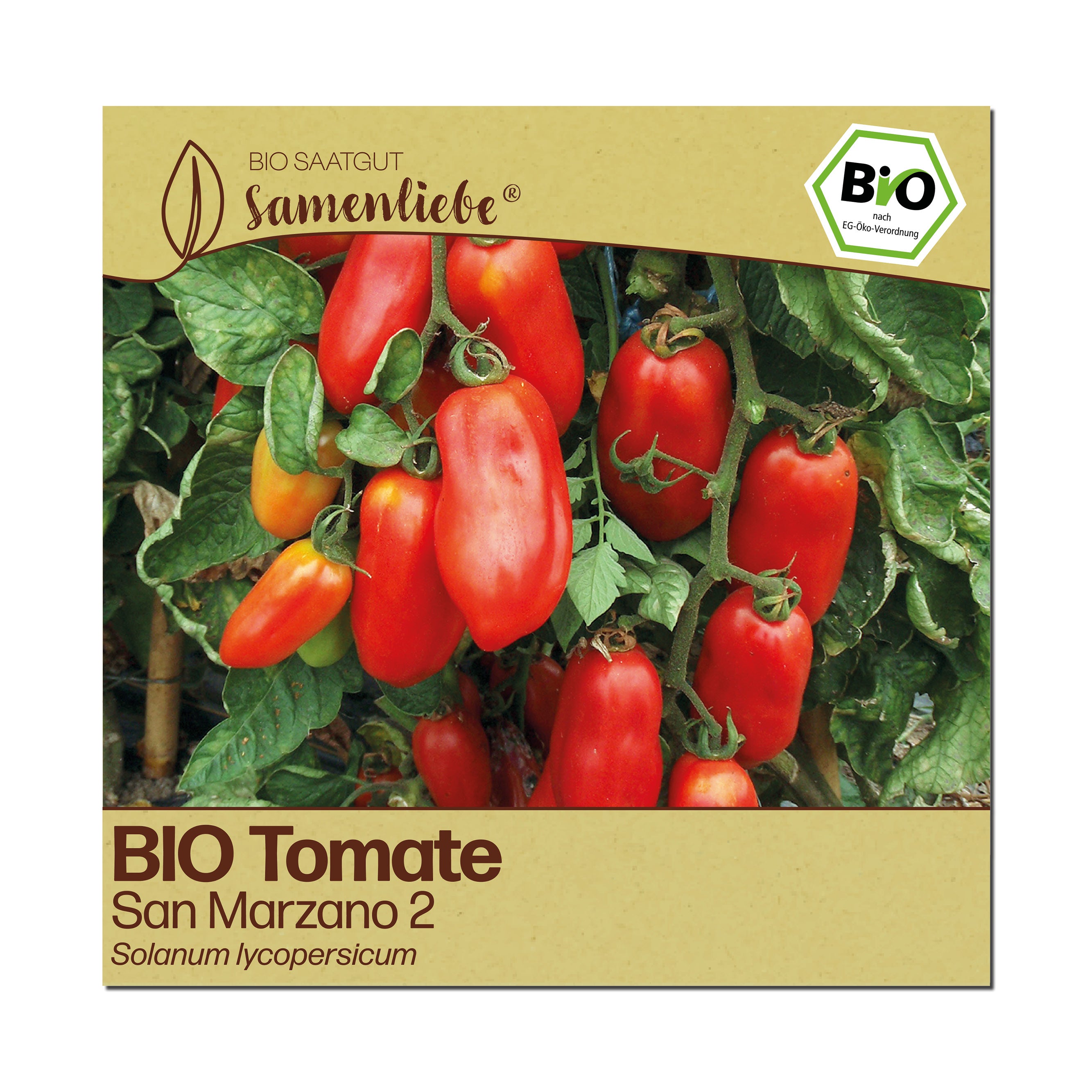 BIO Tomate "San Marzano 2"