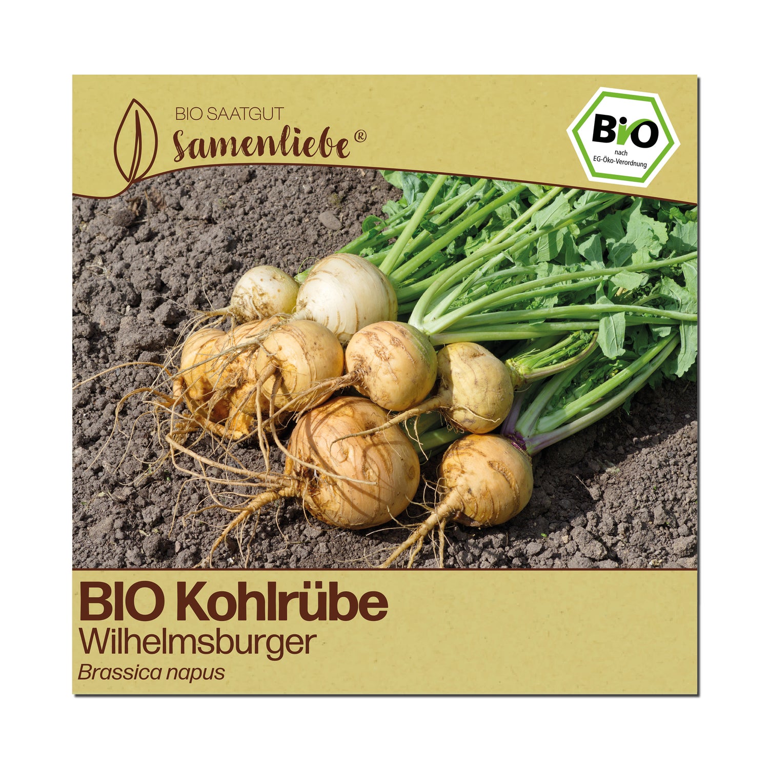 BIO Kohlrübe "Wilhelmsburger"