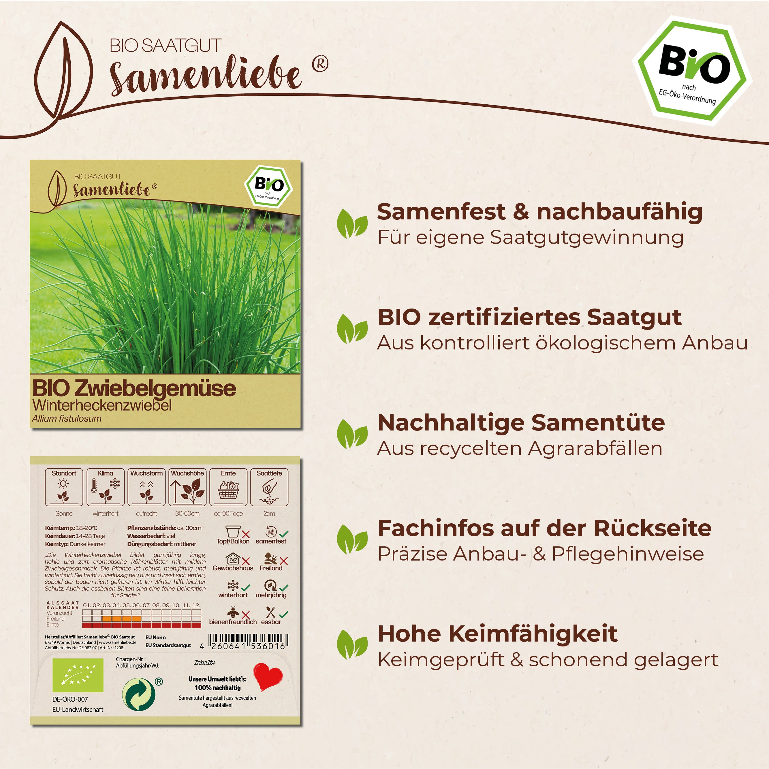 BIO Winterheckenzwiebel "Zwiebelgemüse"