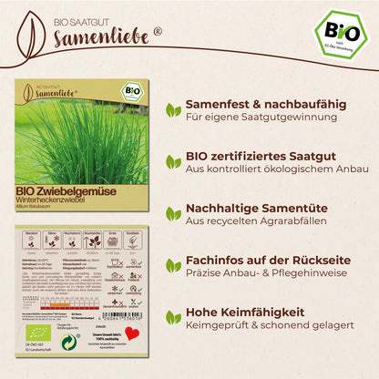BIO Winterheckenzwiebel "Zwiebelgemüse"