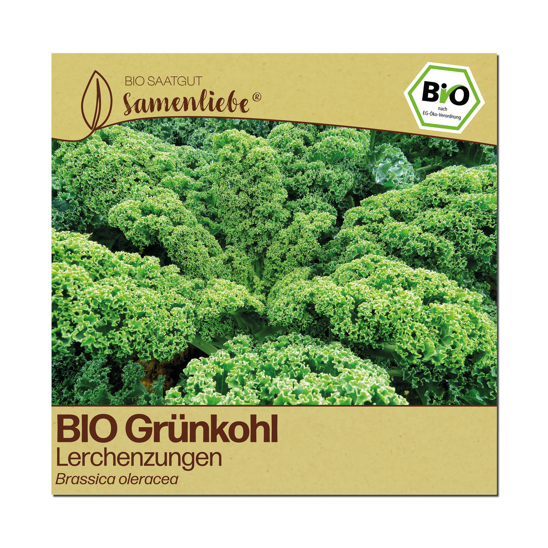 BIO Grünkohl "Lerchenzungen"