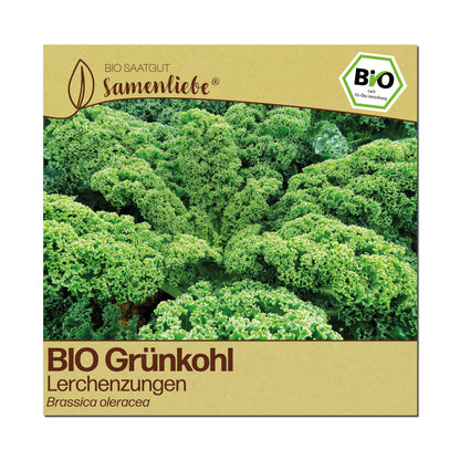 BIO Grünkohl "Lerchenzungen"