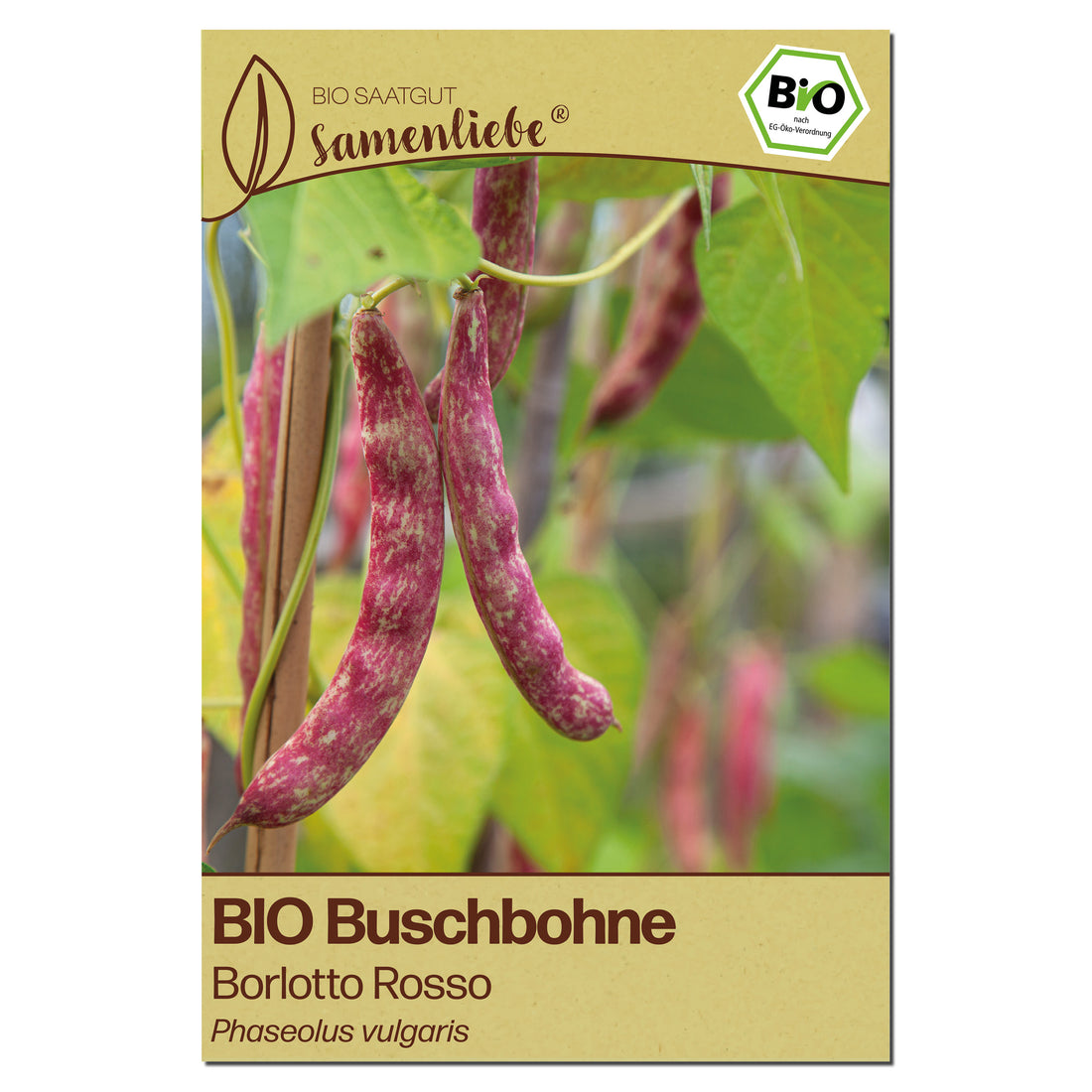 BIO Bohne "Borlotto Rosso"