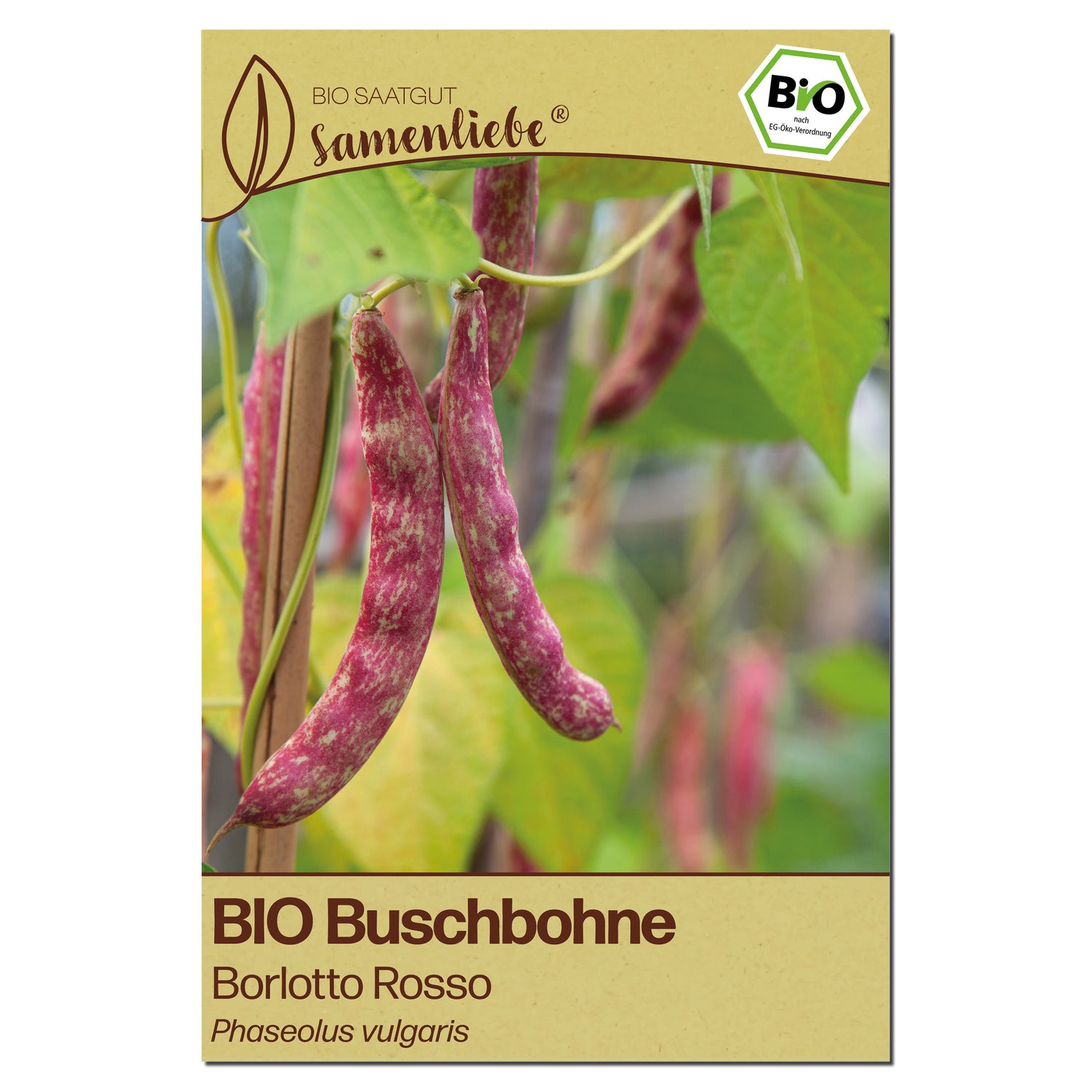 BIO Bohne "Borlotto Rosso"