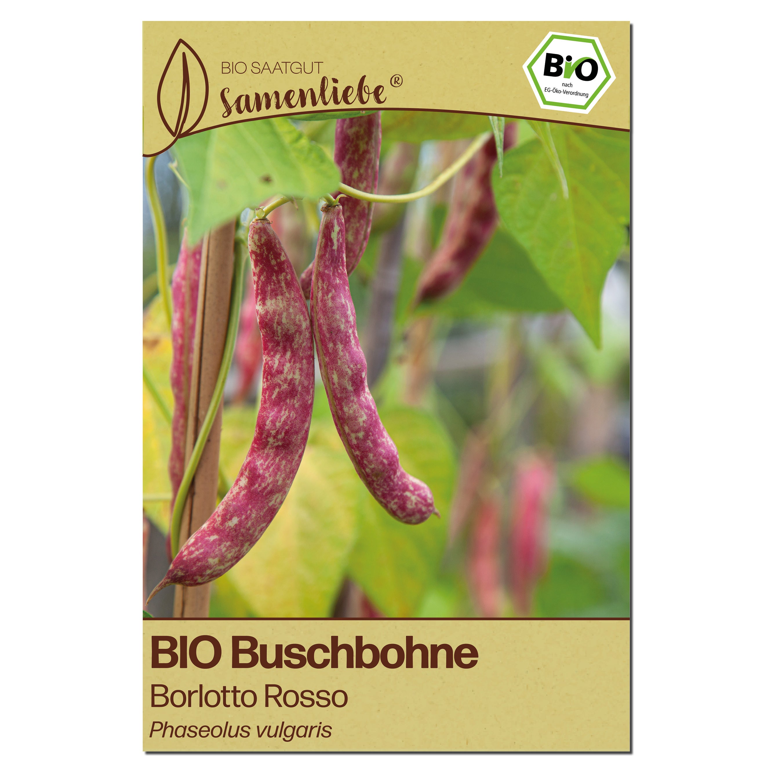 BIO Bohne "Borlotto Rosso"