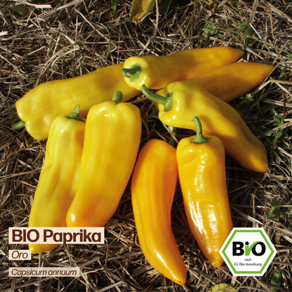 BIO Paprika "Oro"