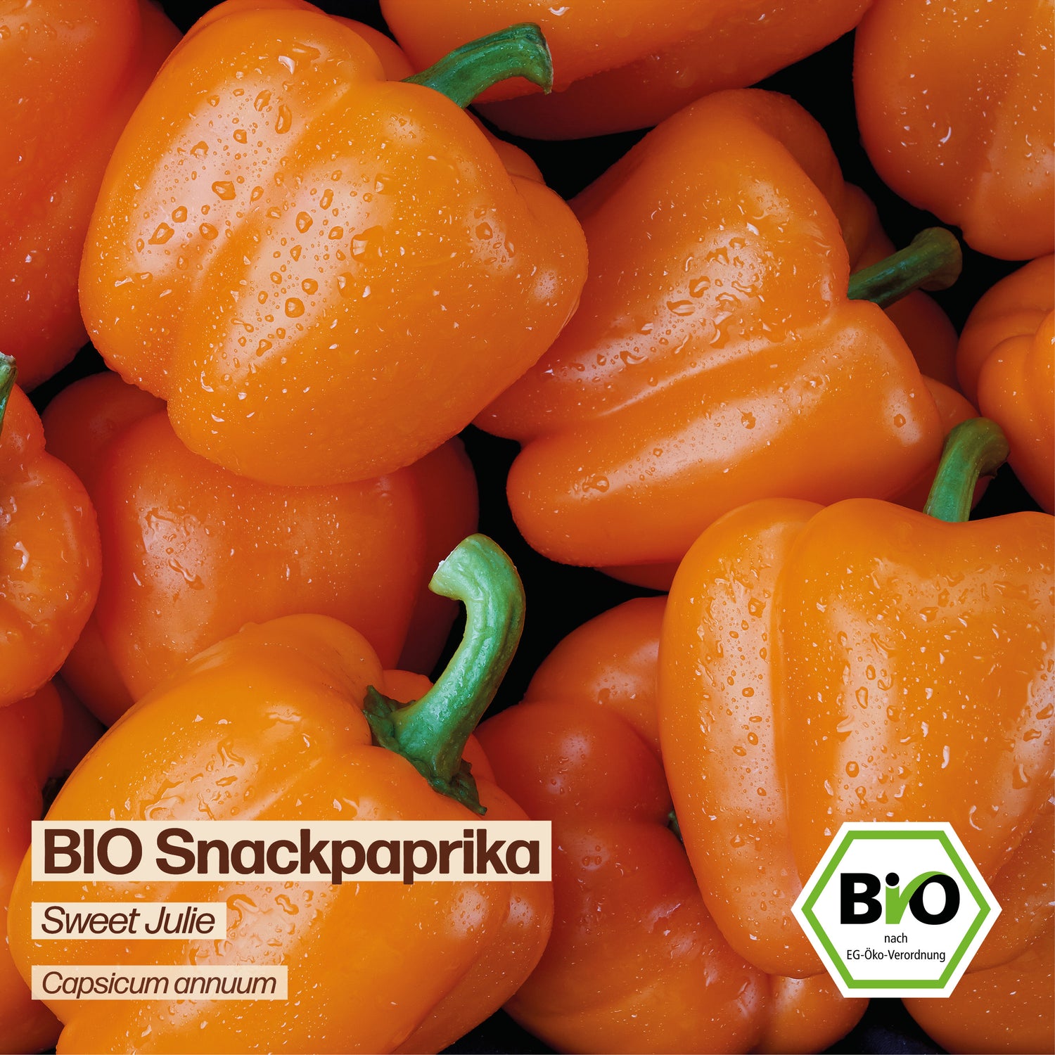 BIO Paprika "Sweet Julie"