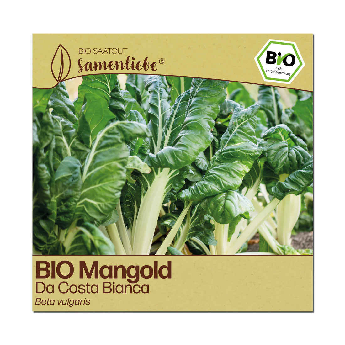 BIO Mangold "Da Costa Bianca"