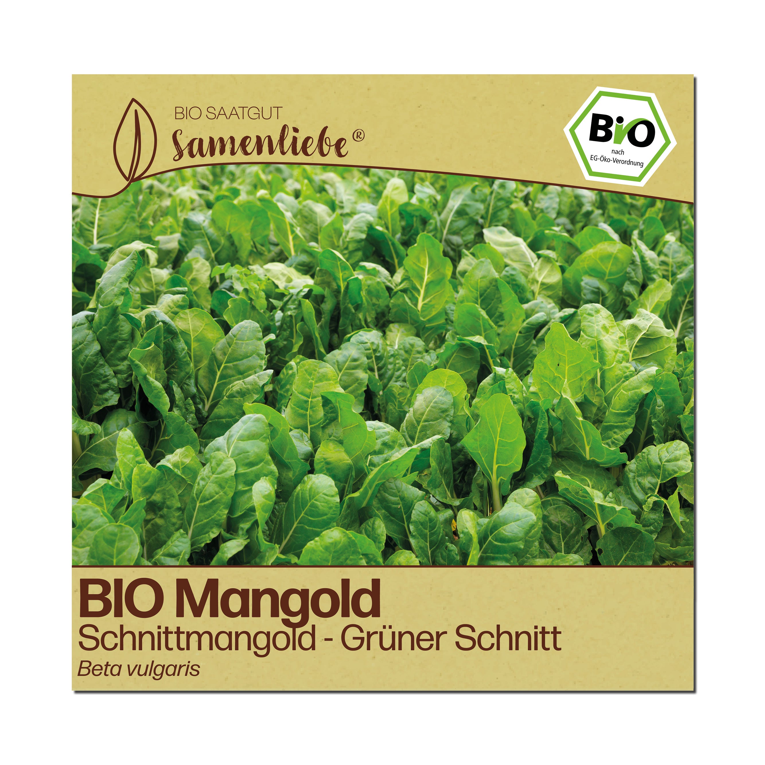 BIO Mangold "Schnittmangold"