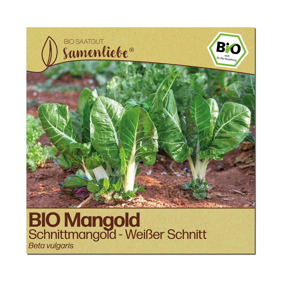 BIO Mangold "Schnittmangold"