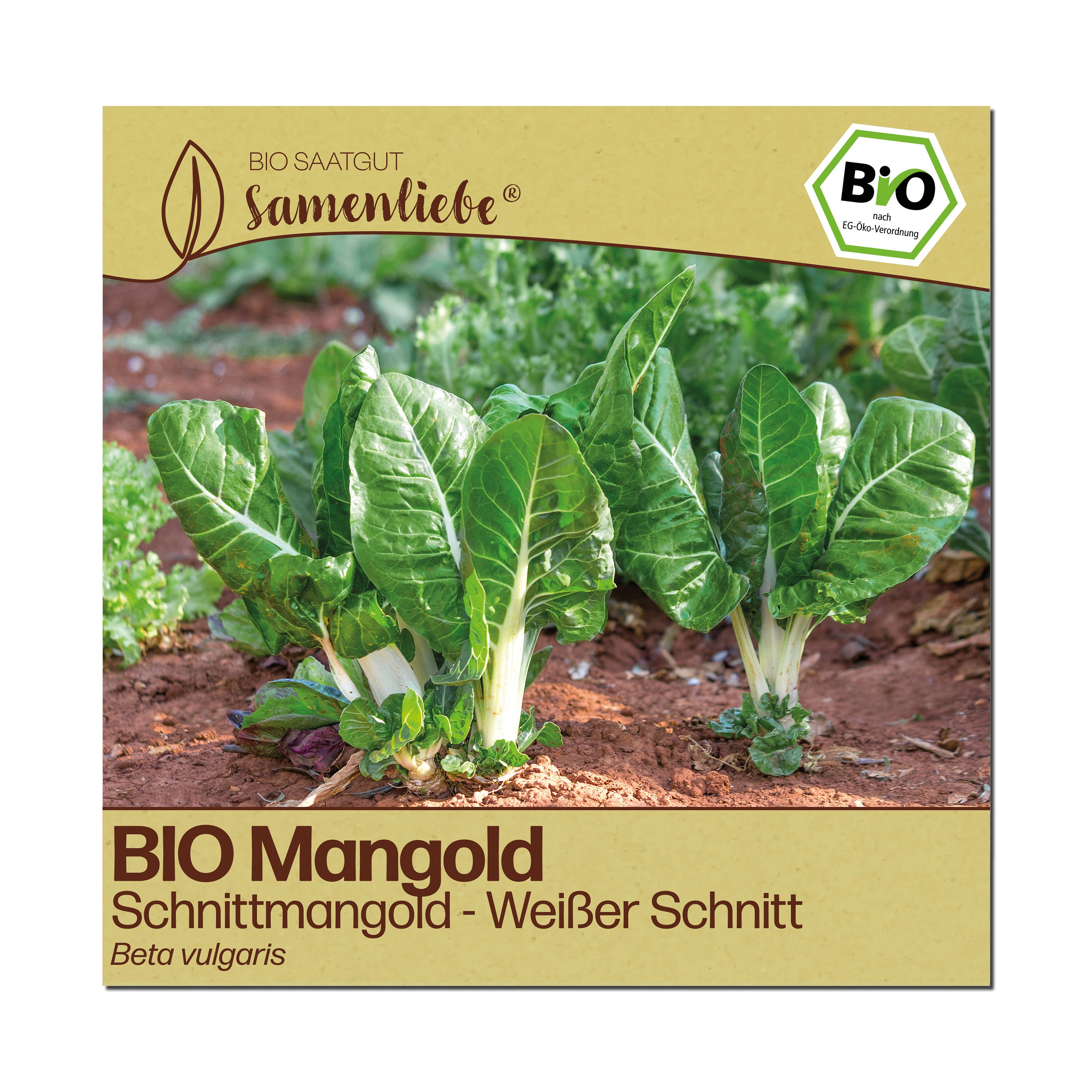 BIO Mangold "Schnittmangold"