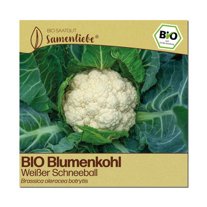 BIO Blumenkohl "Weißer Schneeball"