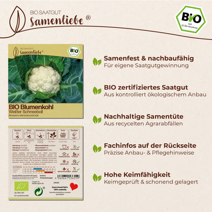 BIO Blumenkohl "Weißer Schneeball"