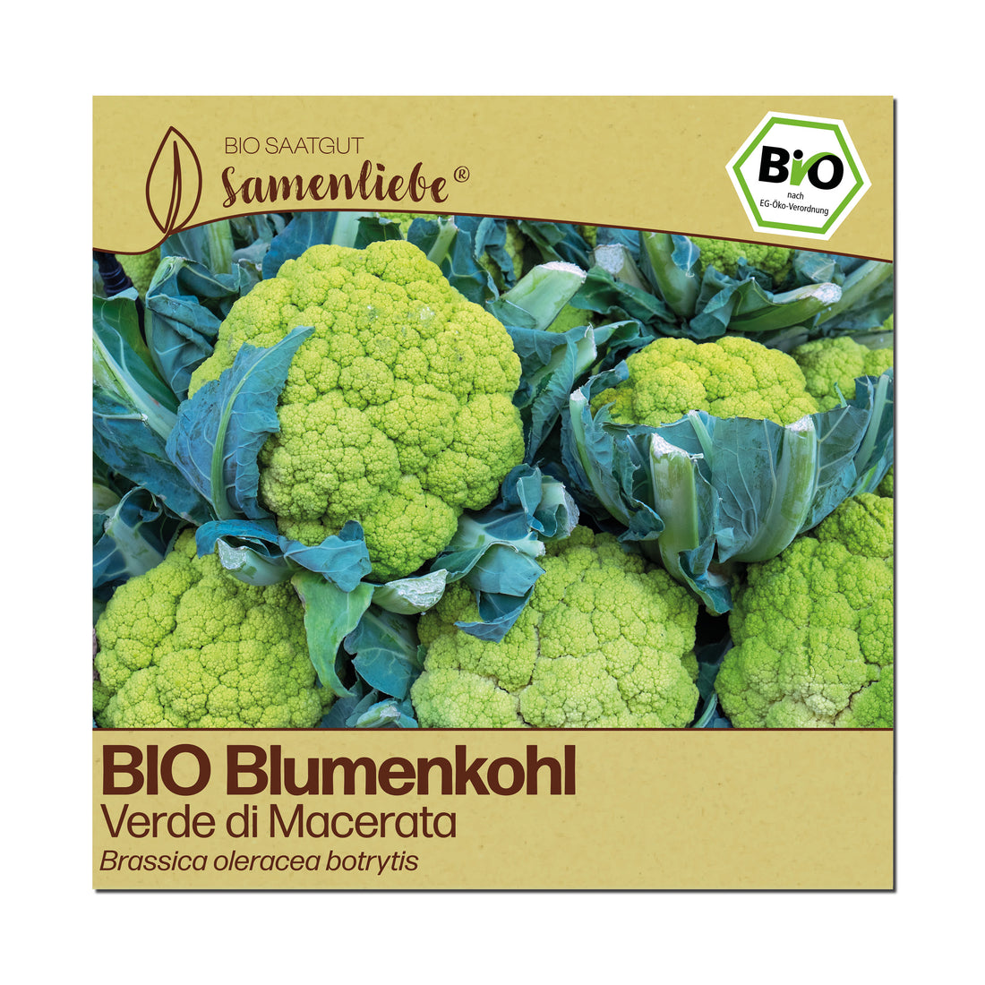 BIO Blumenkohl "Verde di Macerata"